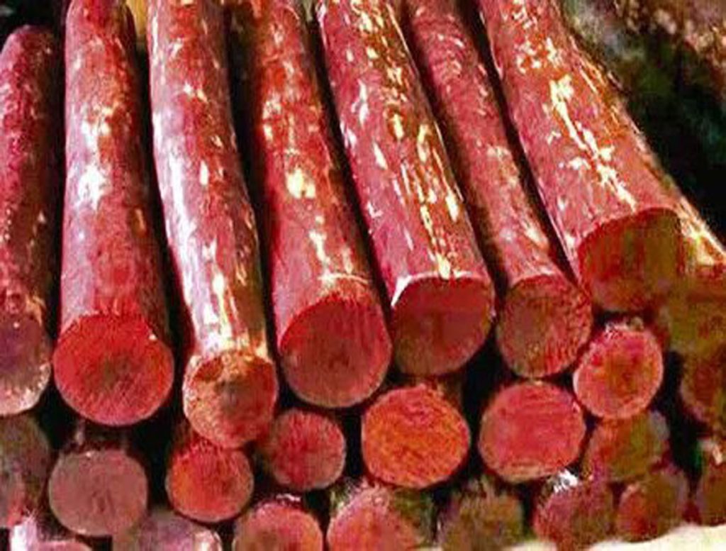 Forest Department To Launch Microchips On Sandalwood Trees