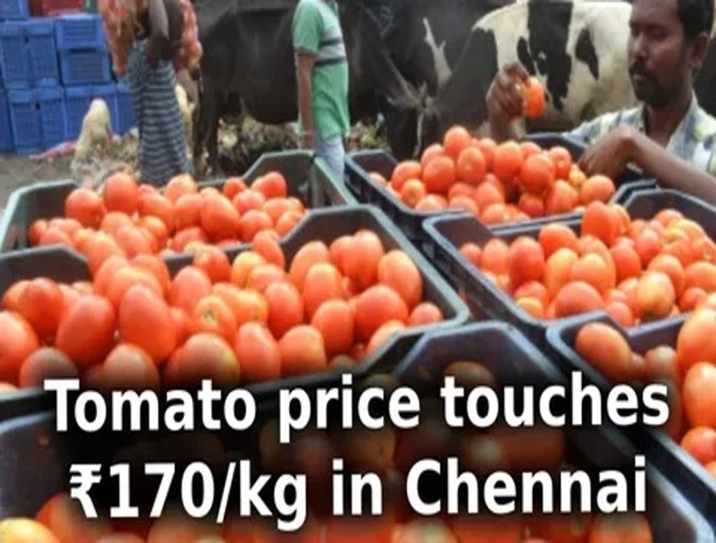 Tomato Price in Chennai Touches Rs 170 per kg