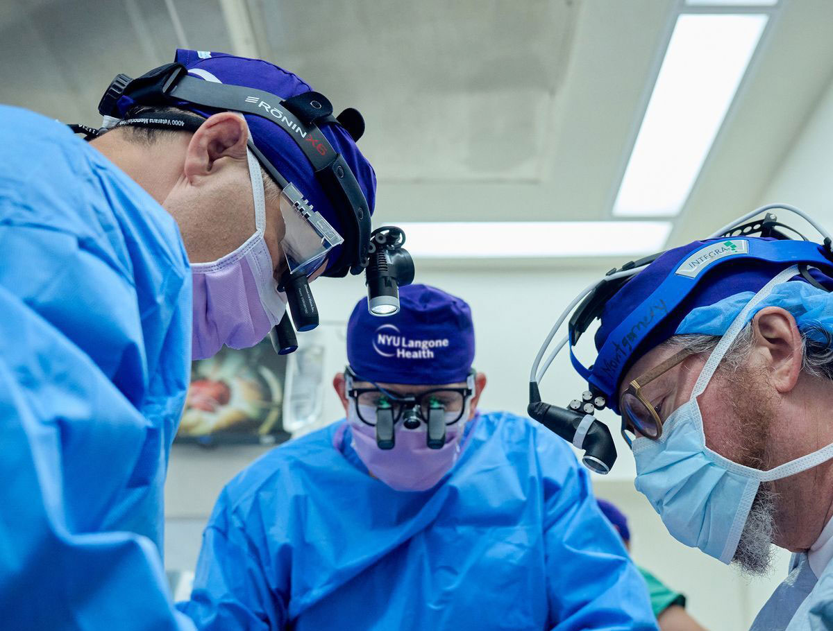 A Pig Kidney For Man : Record Of American Doctors