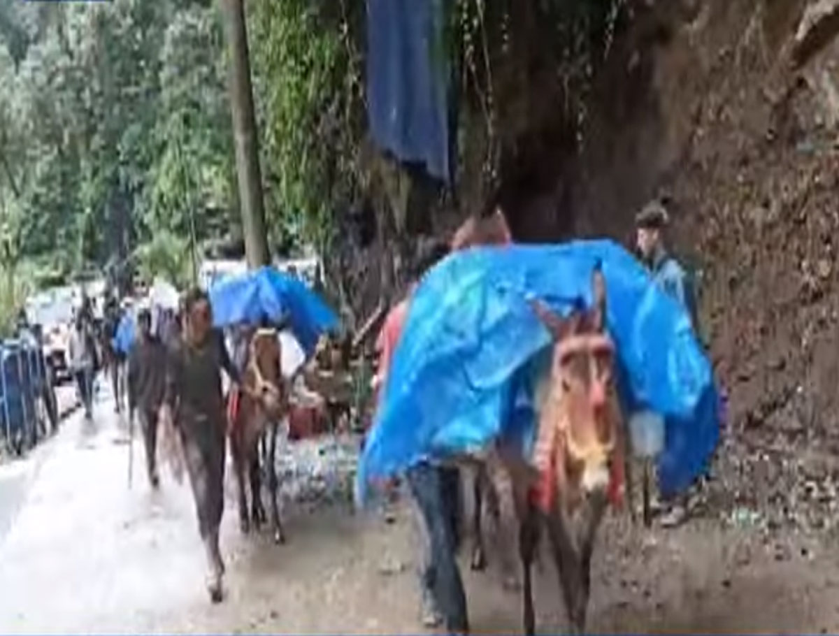 Kedarnath Shrine: New Guidelines Issued to Protect Horses and Donkeys