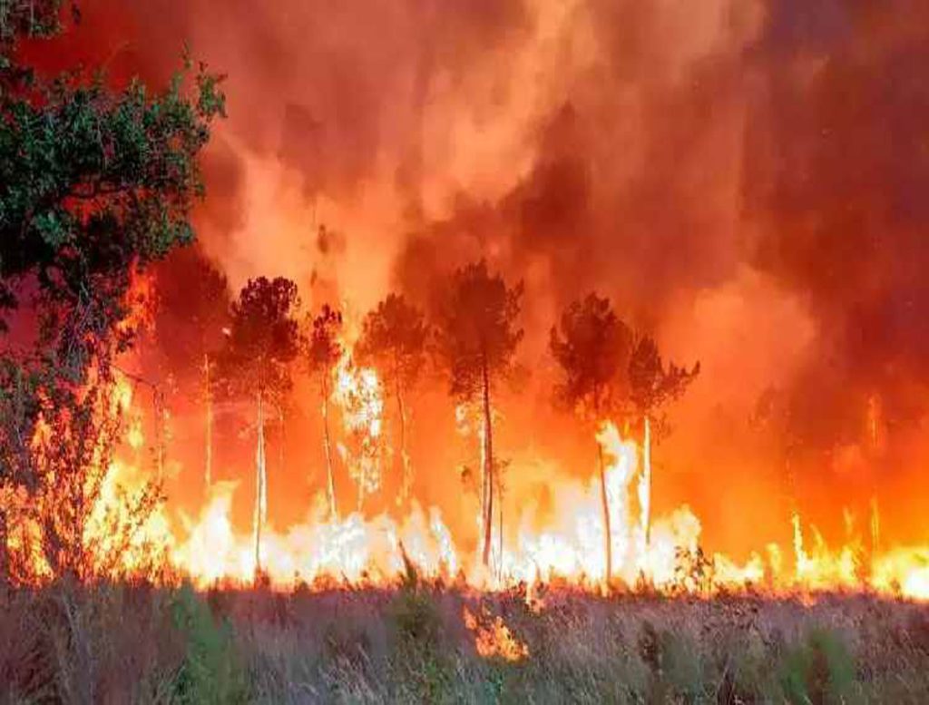 France: Over 3,000 People Evacuated Due to Wildfire