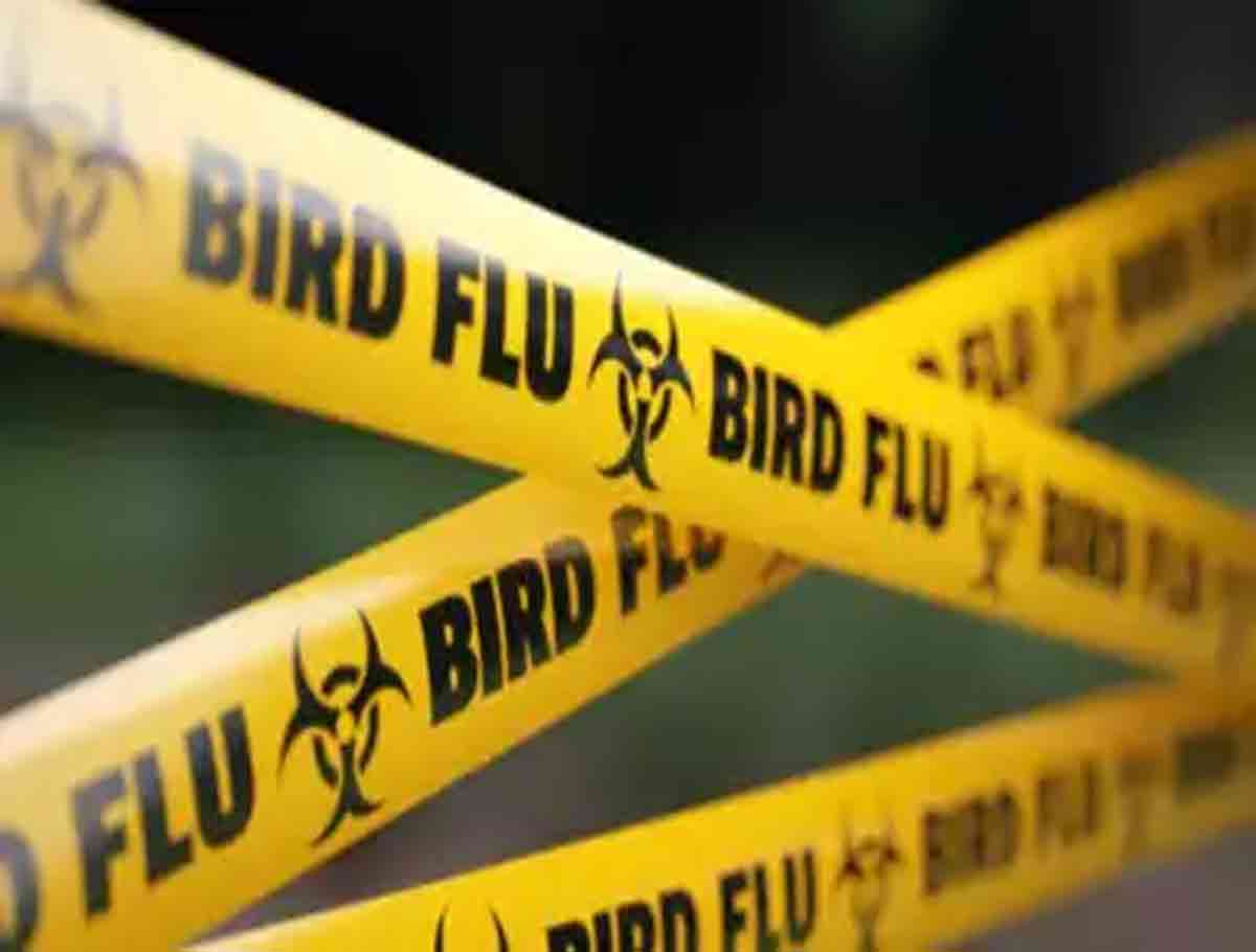 Bird Flu Case From India To Australia
